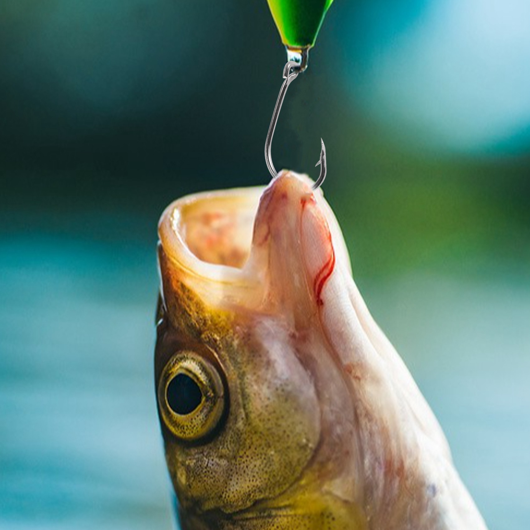 Novidade 500Pcs/Conjunto Taman - Fishing Hook Size avaliação e preço