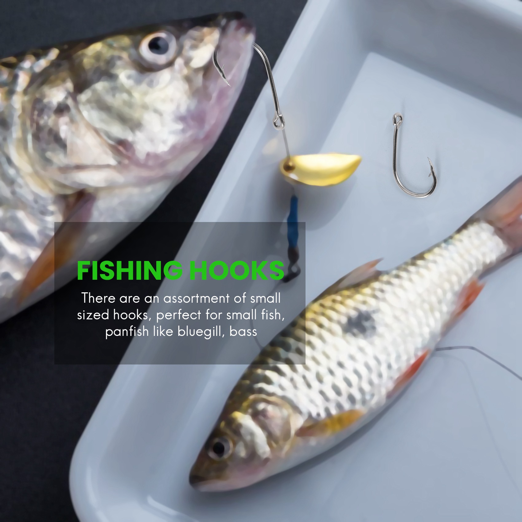 Novidade 500Pcs/Conjunto Taman - Fishing Hook Size avaliação e preço